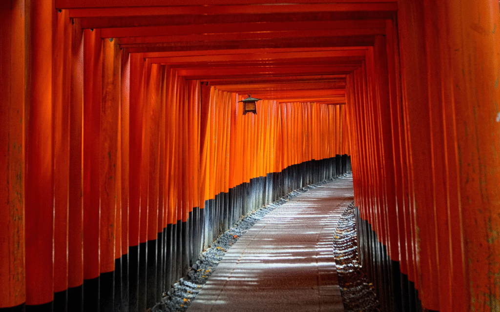 4DFF2025の開催地は京都